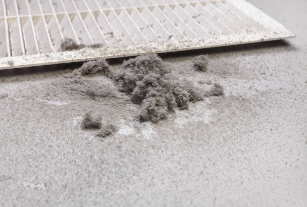 Best Affordable Air Duct Cleaning  in Mill City, OR